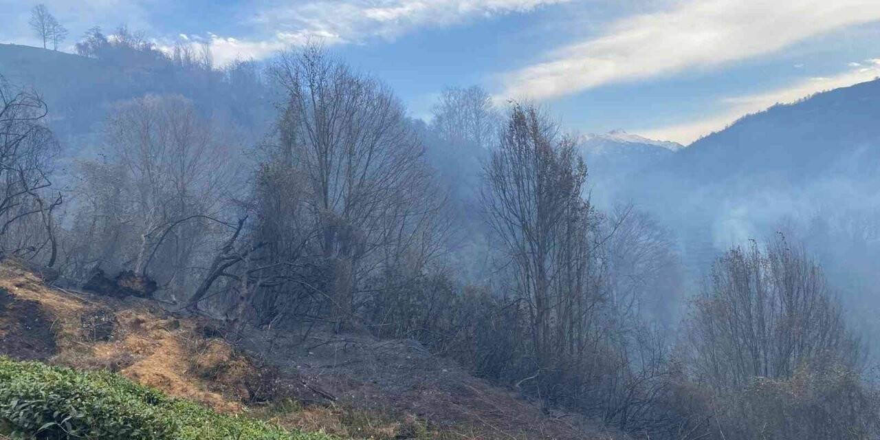 Rize’nin Fındıklı ilçesinde yangın