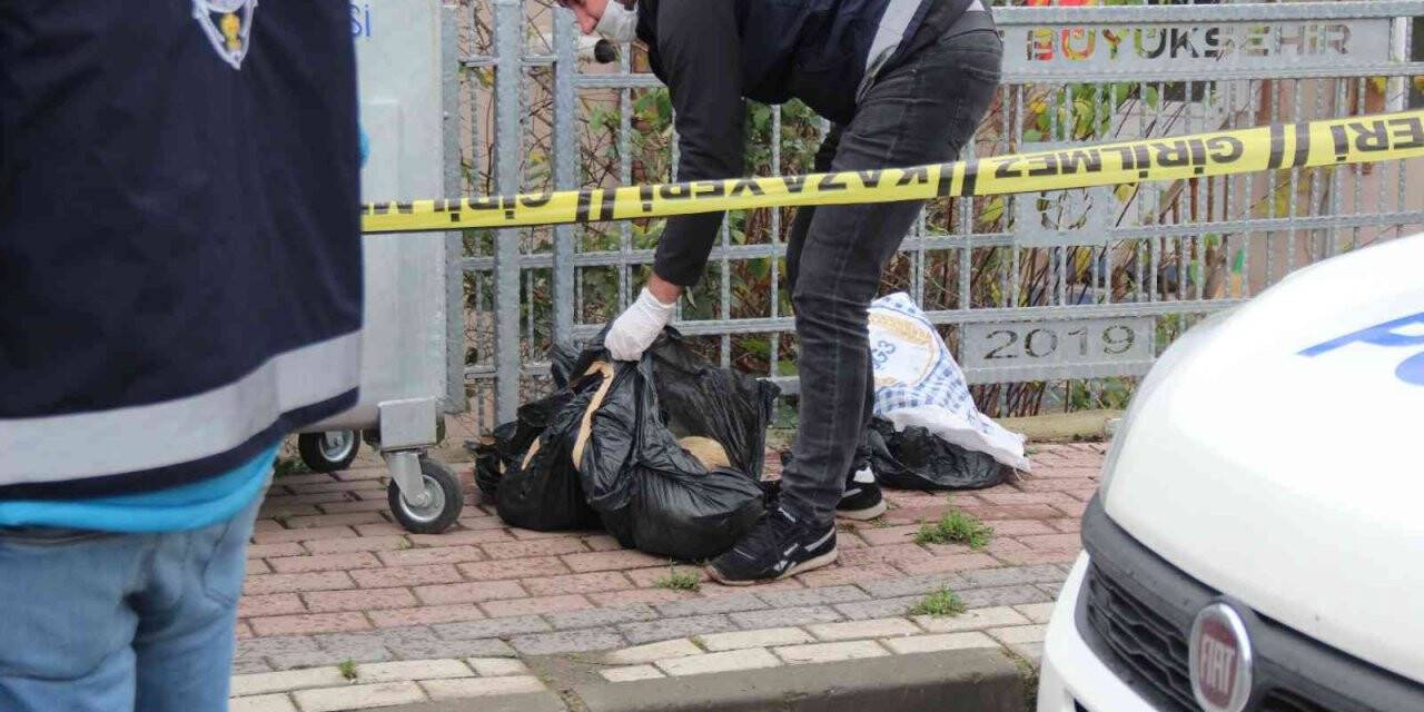 Çöp konteynerinin yanında poşetlenmiş halde telef olmuş hayvanlar bulundu