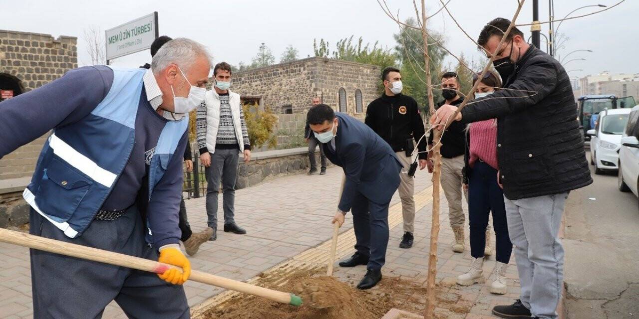 Cizre Kaymakamı Tunç, ağaçlandırma çalışmalarına katıldı