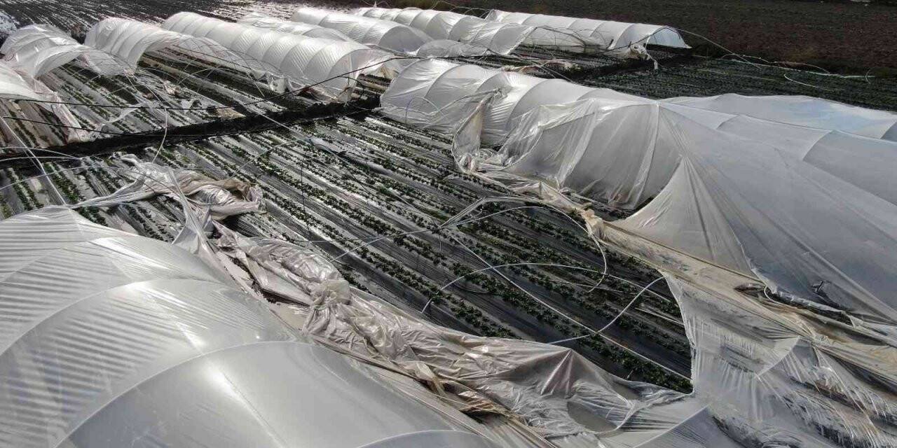 Antalya’da şiddetli fırtına çilek seralarını vurdu