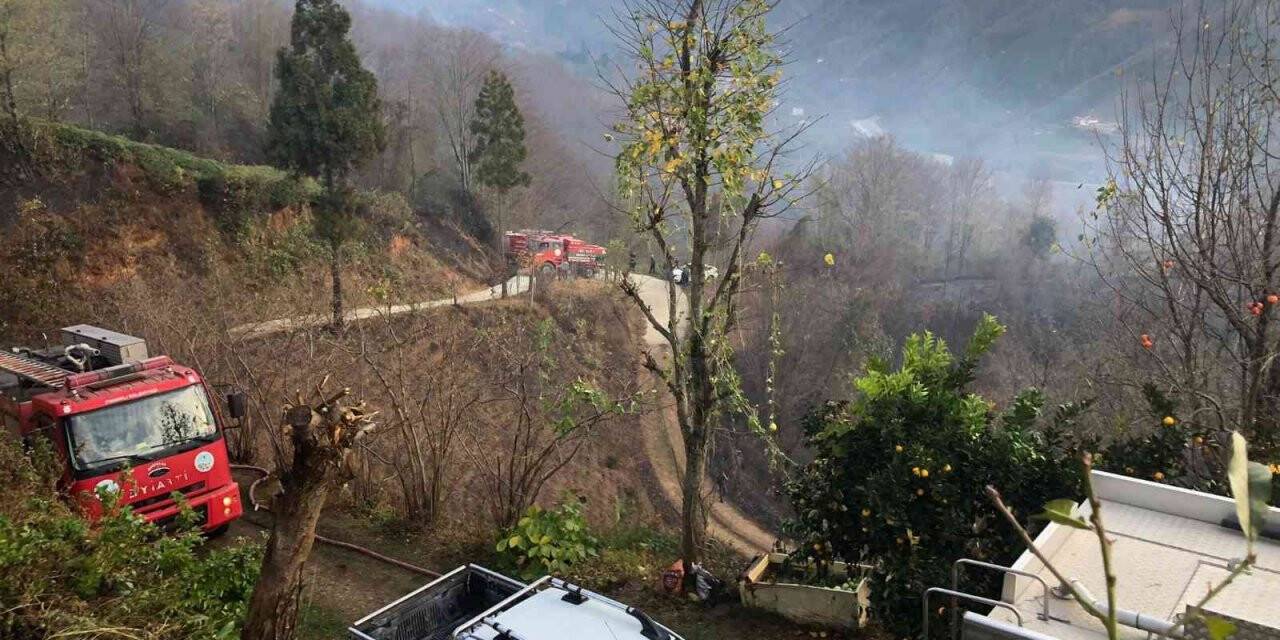 Rize’nin Fındıklı ilçesinde çıkan yangın kontrol altına alındı