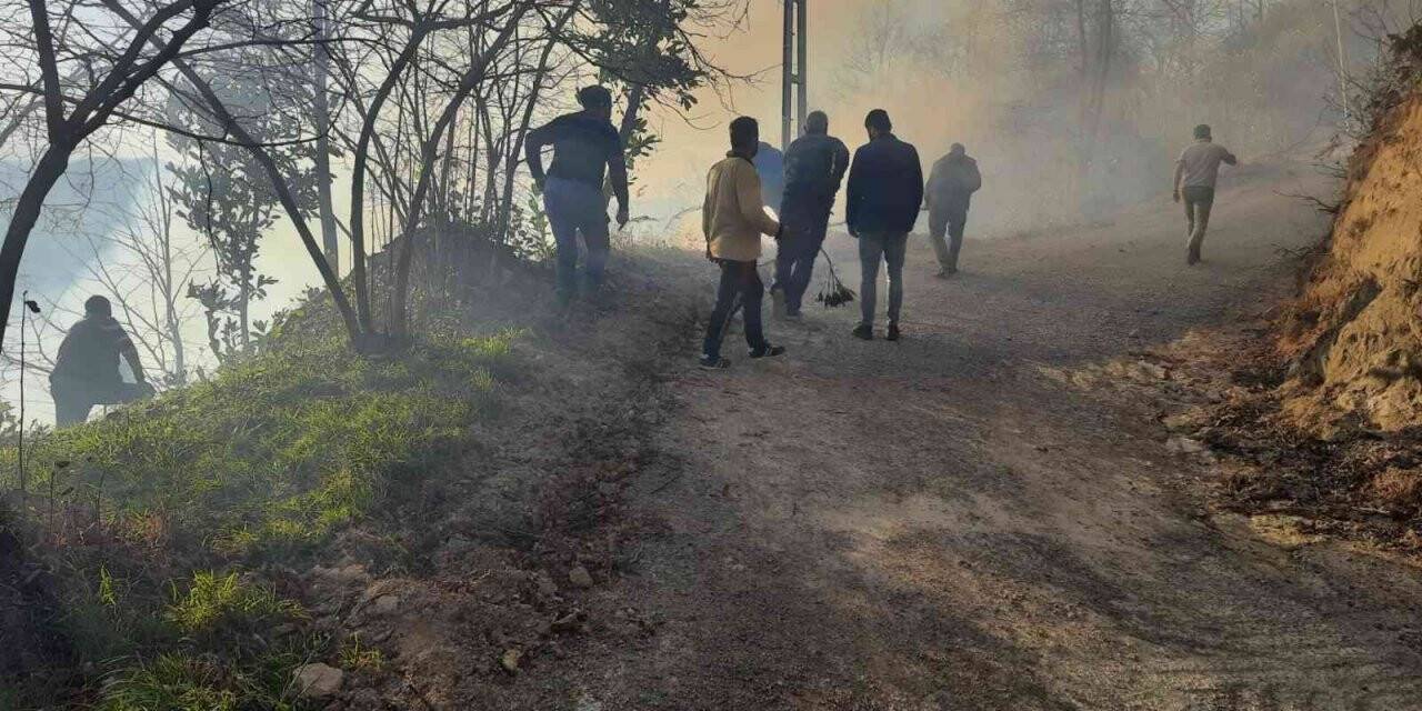 Trabzon’un Sürmene ilçesinde bahçe temizliği orman yangınına neden oldu