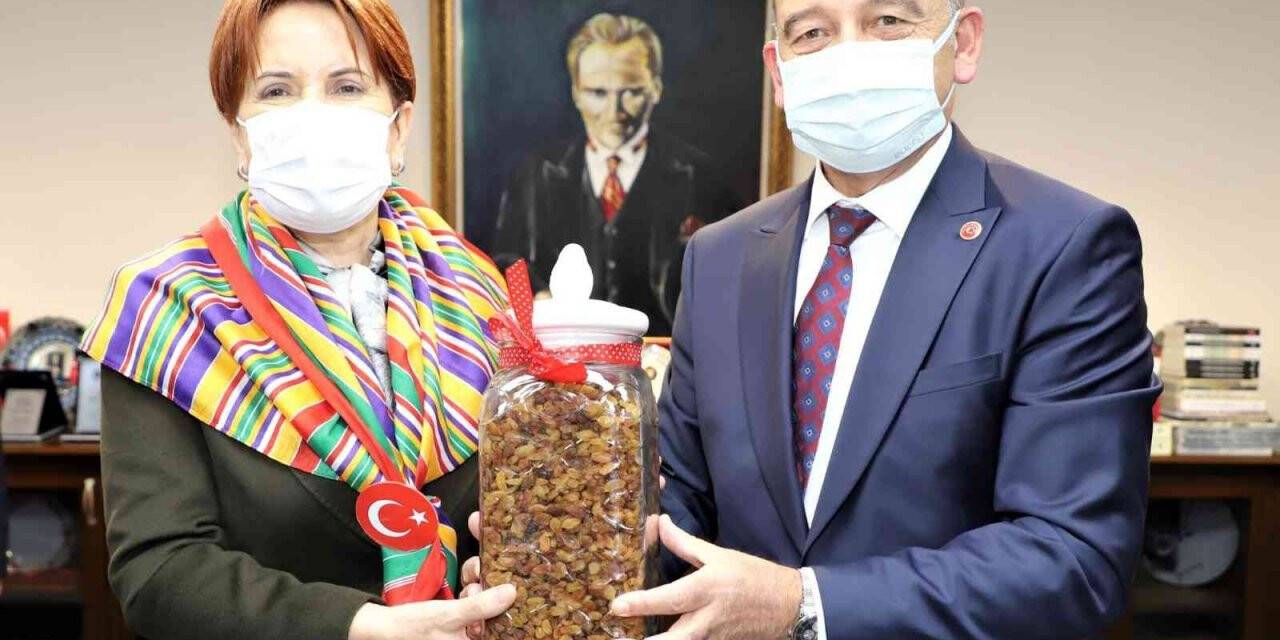 İYİ Parti Genel Başkanı Akşener Başkan Akın’la görüştü