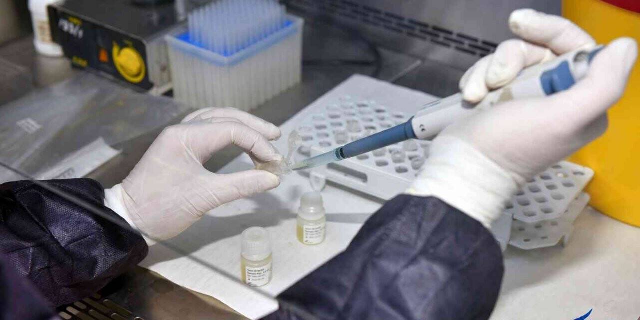 Covid-19 aşılarının antikor sonuçları karşılaştırıldı