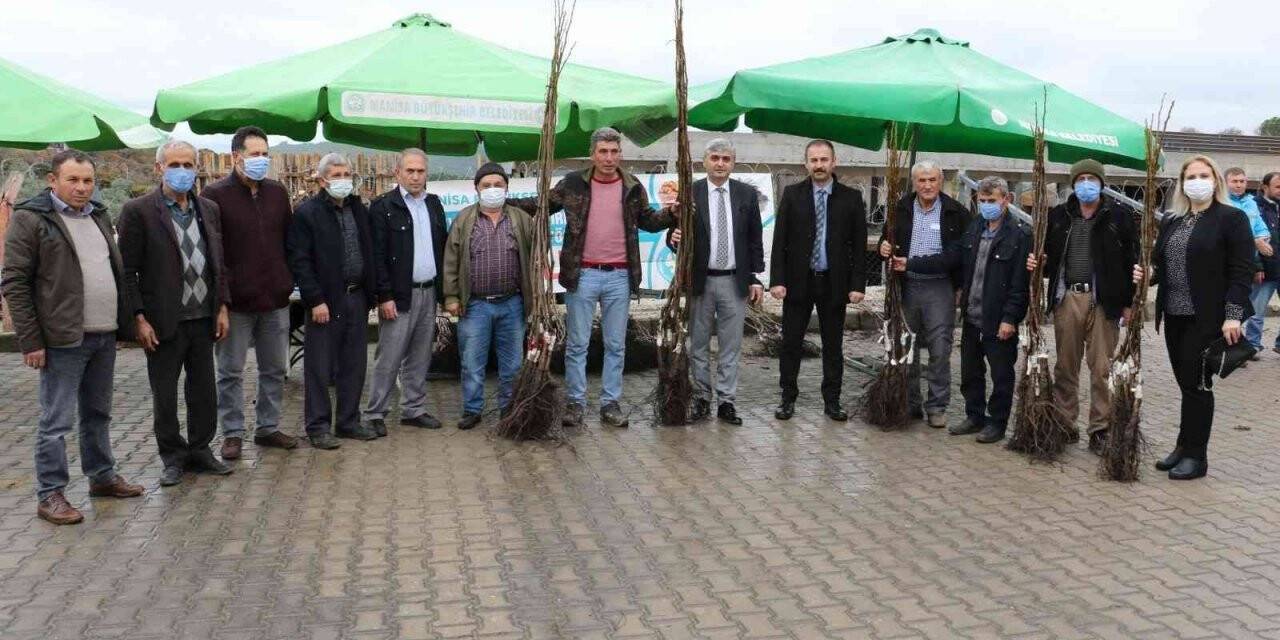 Manisa’da binlerce fidan üreticilere dağıtıldı