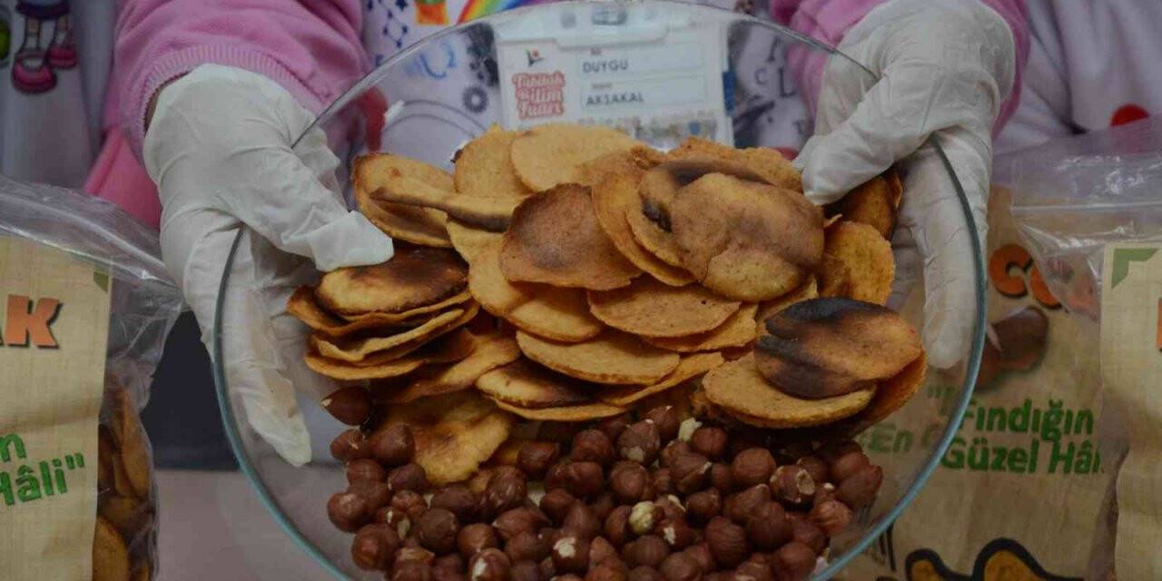 Bu da ’fındık cipsi’