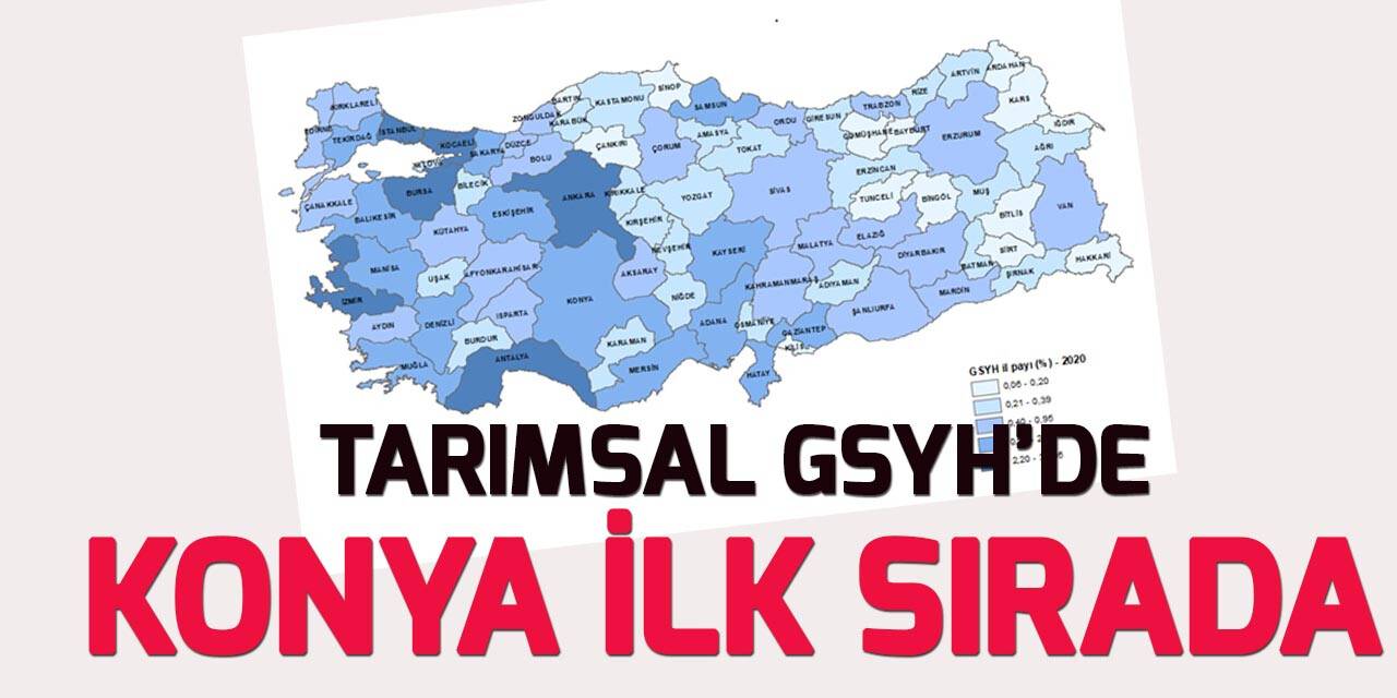 İl bazında gayrisafi yurt içi hasıla rakamları açıklandı