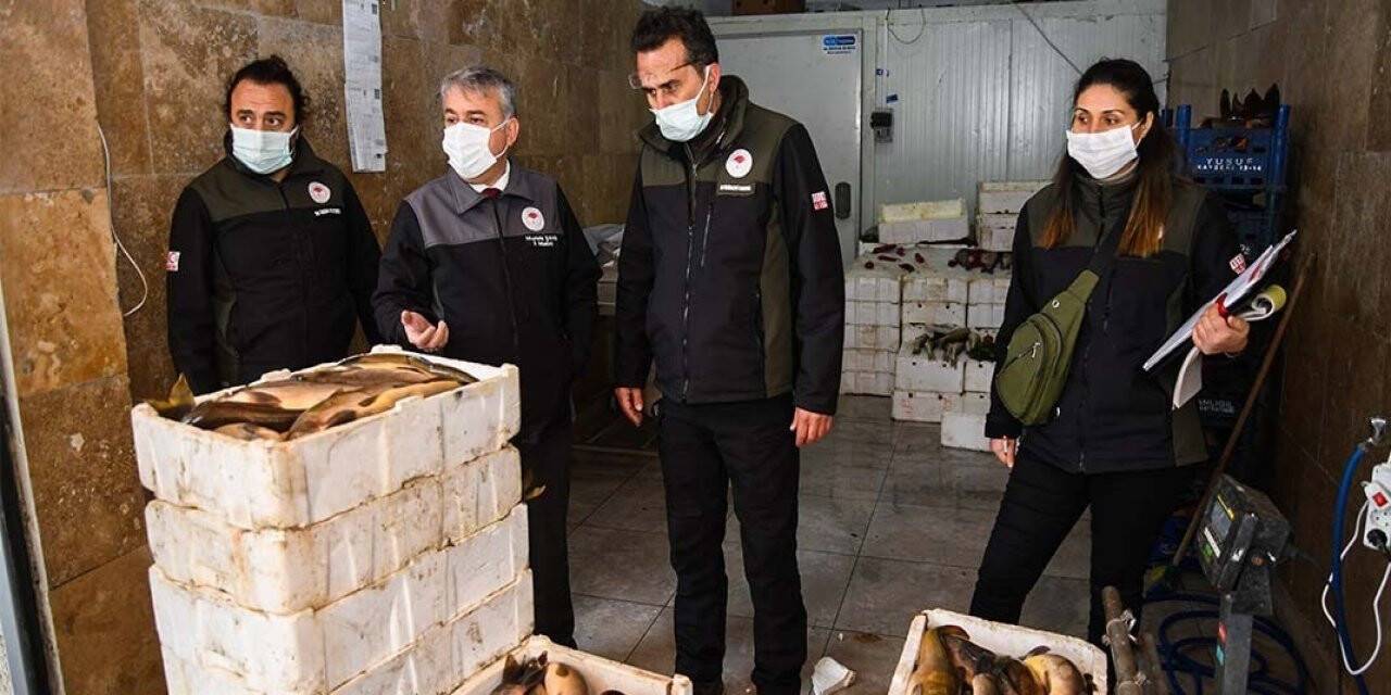 Kayseri’de 1 ton 290 kilo Siraz balığına el konuldu