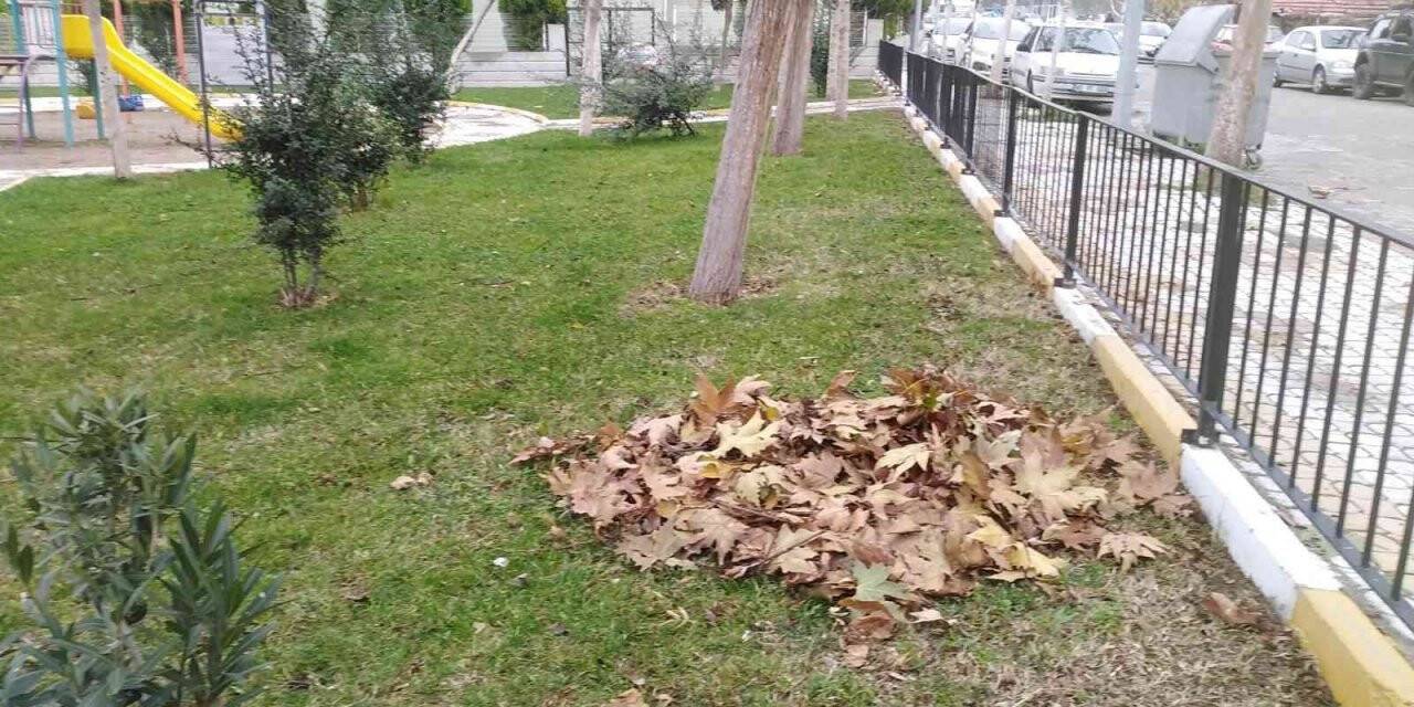 Soma’da park ve bahçelerin kışlık bakımları devam ediyor