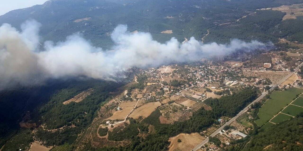 430 hektarlık ormanı yaktığı iddia edilen sanığa 7 yıl hapis cezası istendi