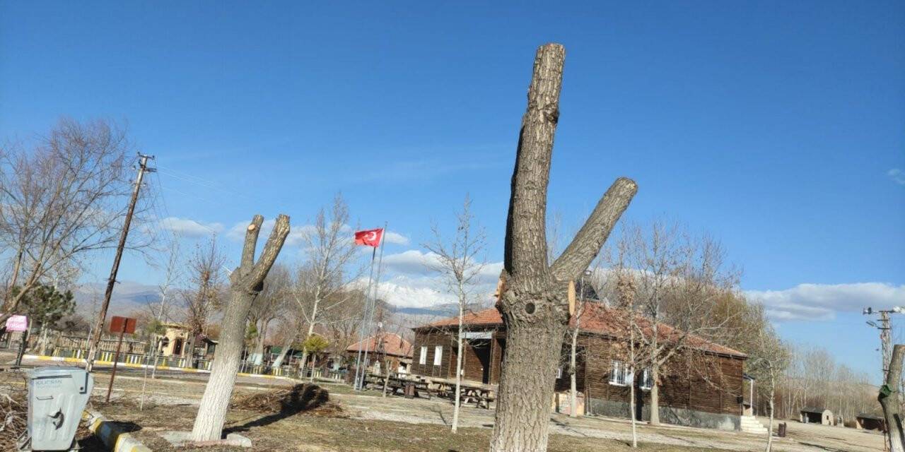 Sultan Sazlığı’nda sonbahar temizliği