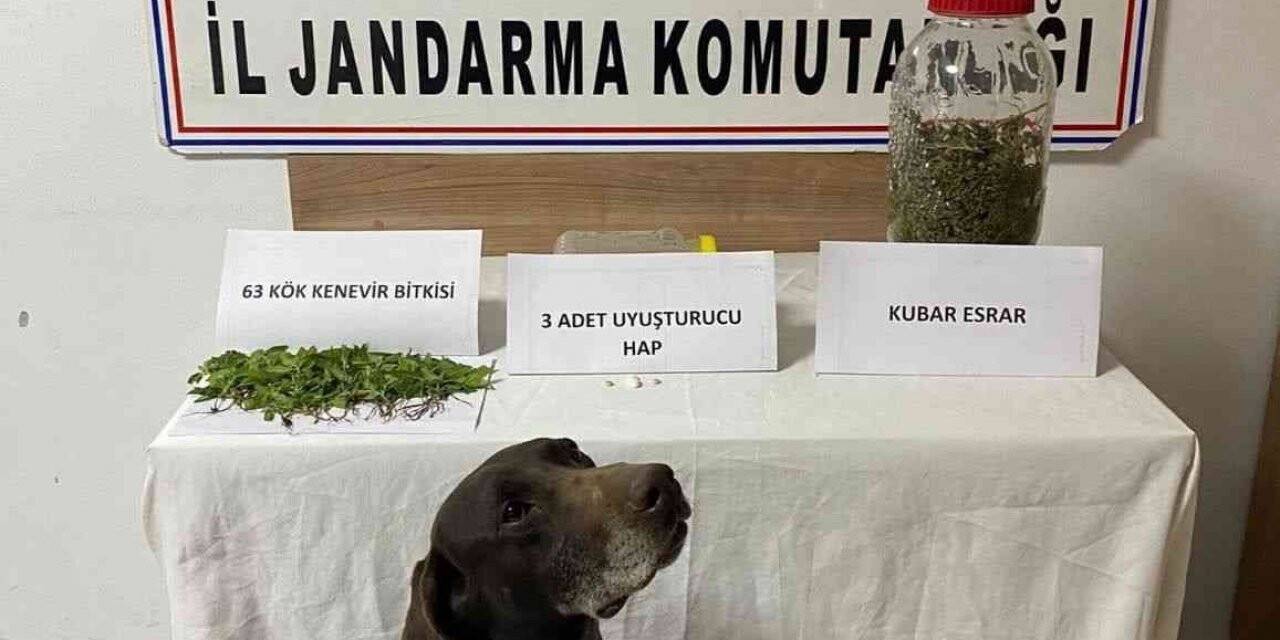 Kırıkhan’da uyuşturucu operasyonu