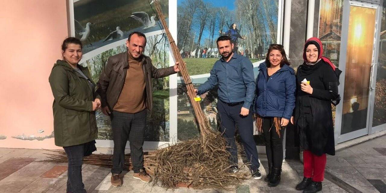 Üreticilere cennet meyvesi desteği