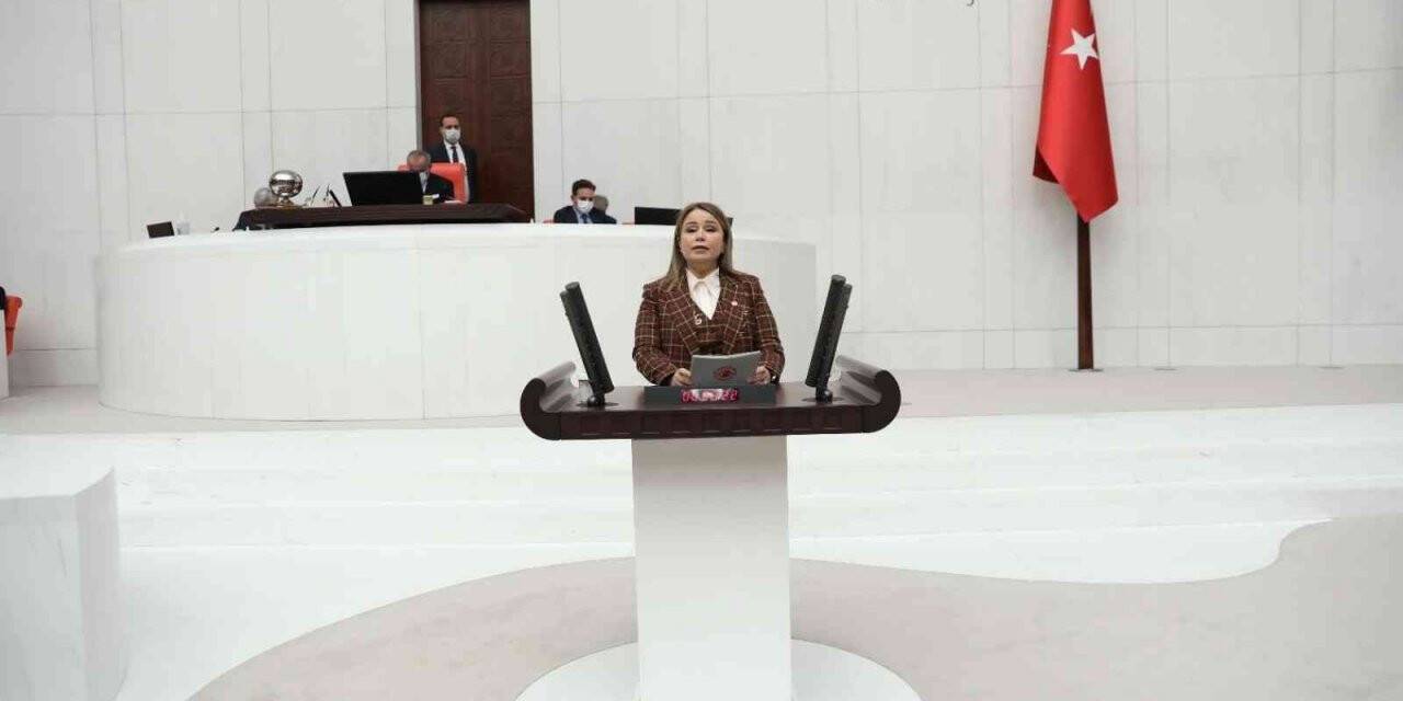 Milletvekili Aydemir: "Kadın sporcularımız Tokyo Olimpiyatlarında tarih yazdılar"