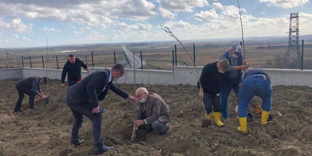 Hayatlarının son baharında fidan diktiler