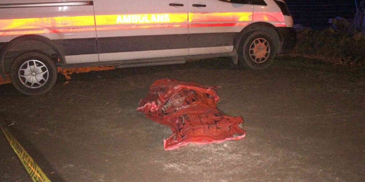 Ödemiş’te kamyonetin çarptığı şahıs hayatını kaybetti
