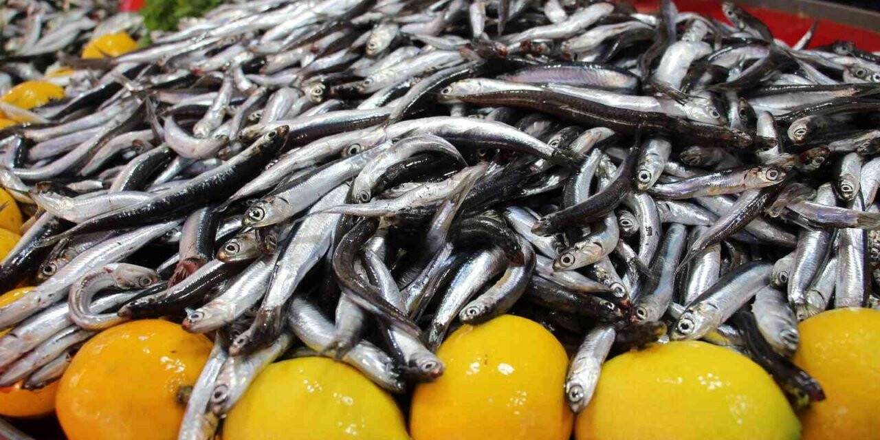 Aydın’da balık tezgahlarının yıldızı ’hamsi’ oldu