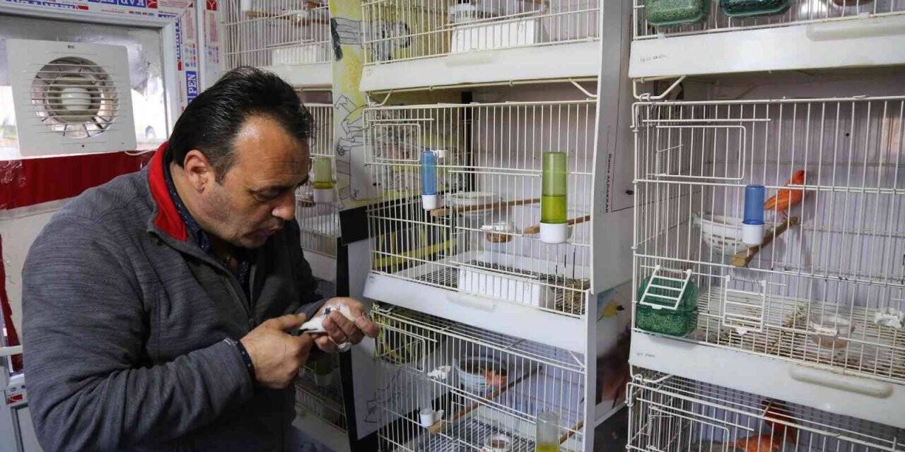 Eyüpsultan’ın en güzel dünya şampiyonu