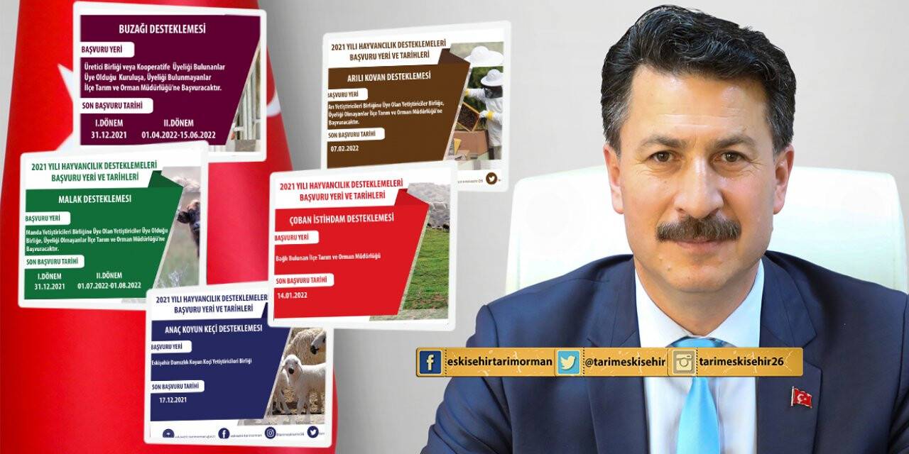 Hayvancılara destek ödemeleri yapılacak