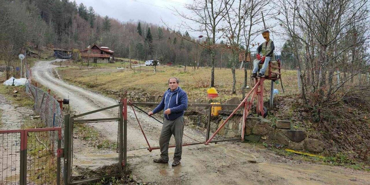 Doğada nadir görülen reishi mantarını bulmanın sevincini yaşadı