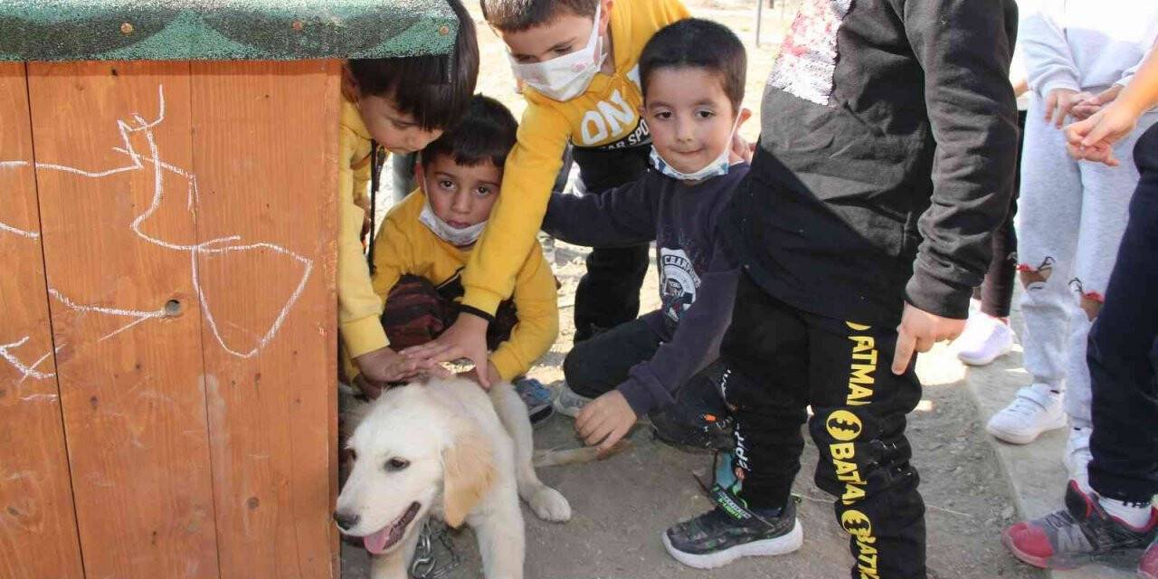 Bu okulda çocuklara hayvan ve doğa sevgisi aşılanıyor