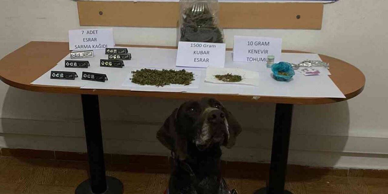 Hassa’da uyuşturucu operasyonu