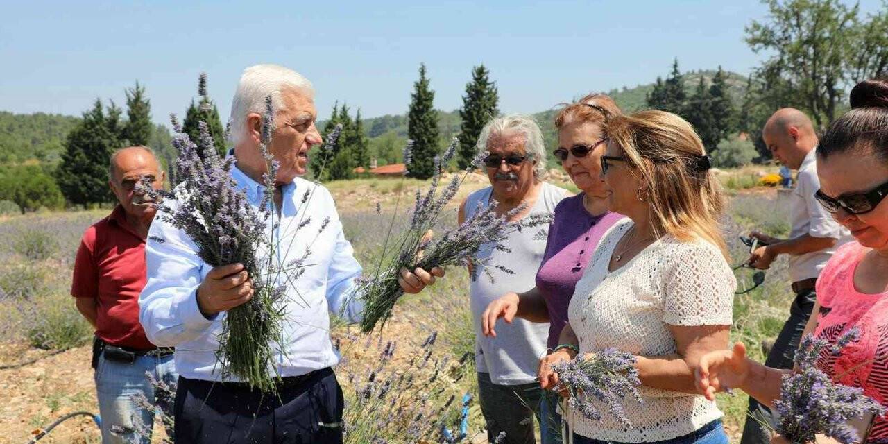 Kadın üreticilere 97 Bin 500 adet tıbbi aromatik fidanı