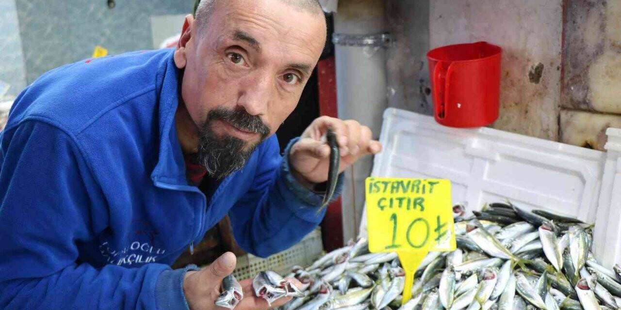 Samsun’da mevsim balıklarının fiyatı 10 TL ile 30 TL arasında değişiyor