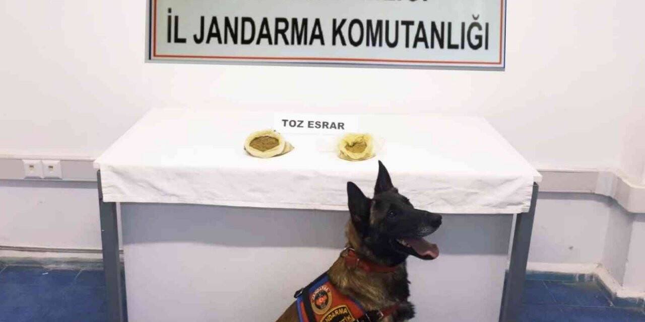 Bodrum’da uyuşturucu operasyonu