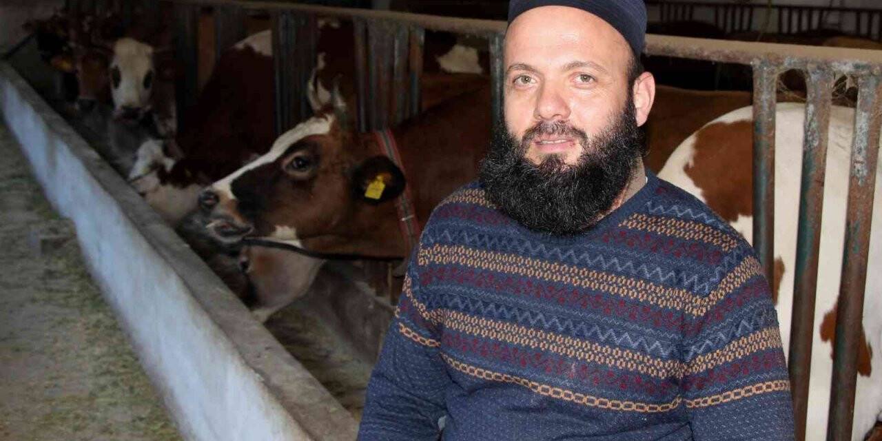 Genç çiftçi projesiyle hayvancılığa başladı, şimdi taleplere yetişemiyor