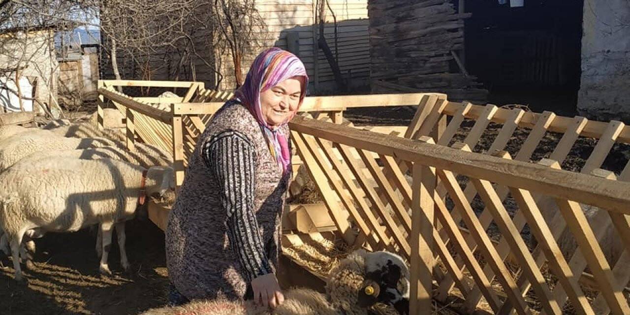 Hibe desteği sayesinde işini kuran engelli kadına 30 adet koyunu teslim edildi