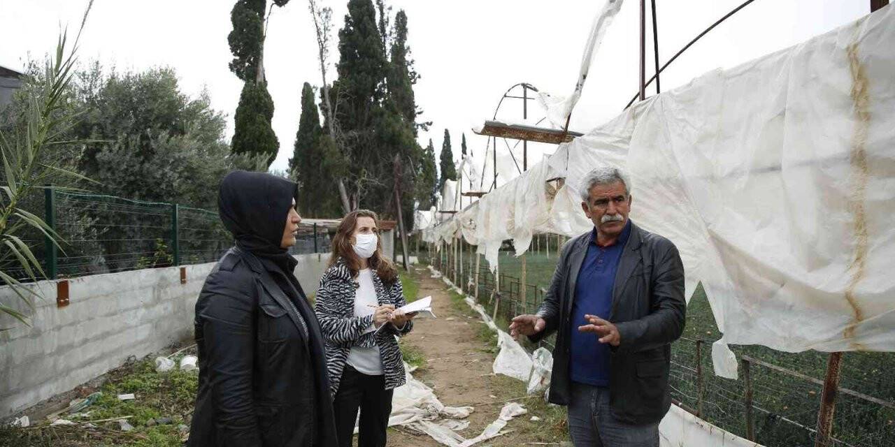 Büyükşehir çiftçinin yaralarını sarmak için hasar tespiti yapıyor