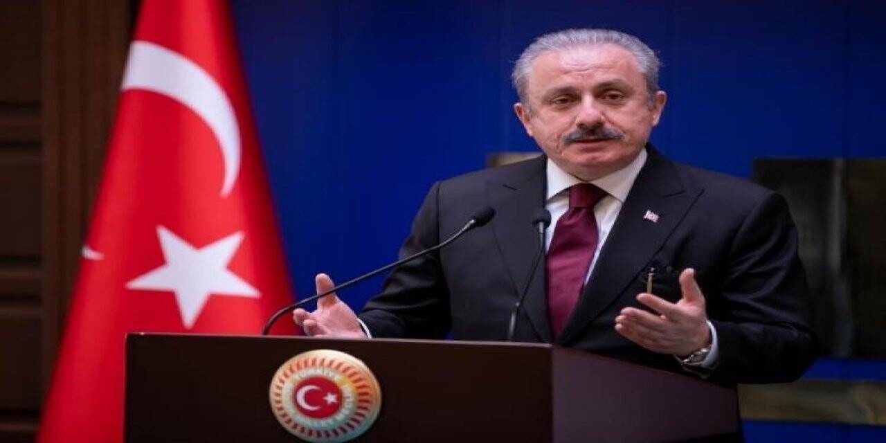 TBMM Başkanı Mustafa Şentop: "Müslüman azınlıkların İnsan Hakları ile ilgili sorunlarını çalışmak üzere bir alt komite oluşturuldu"