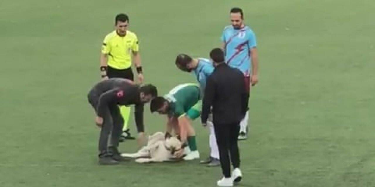 Bursa’da nefes kesen mücadeleye ‘köpek’ molası