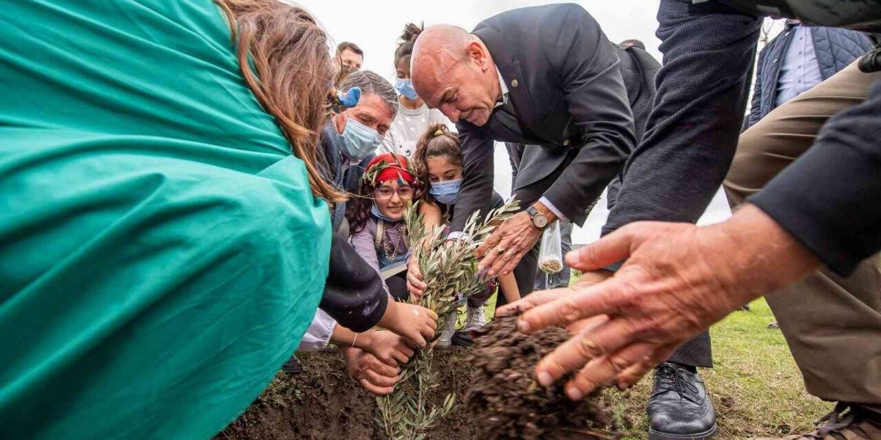 Zeytin Barış Festivali “Bir Zeytin Dalı Yeter” sloganıyla başladı