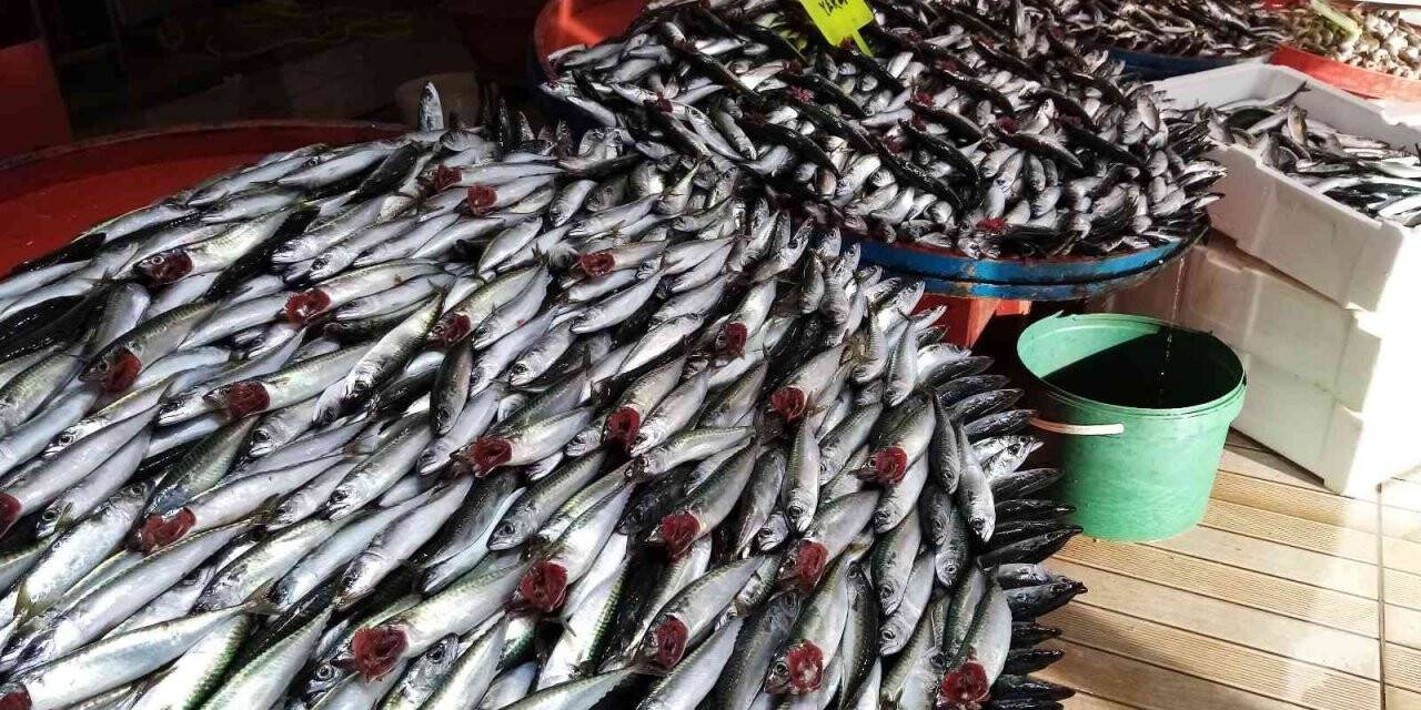 Lodos durdu tezgahlar balık doldu