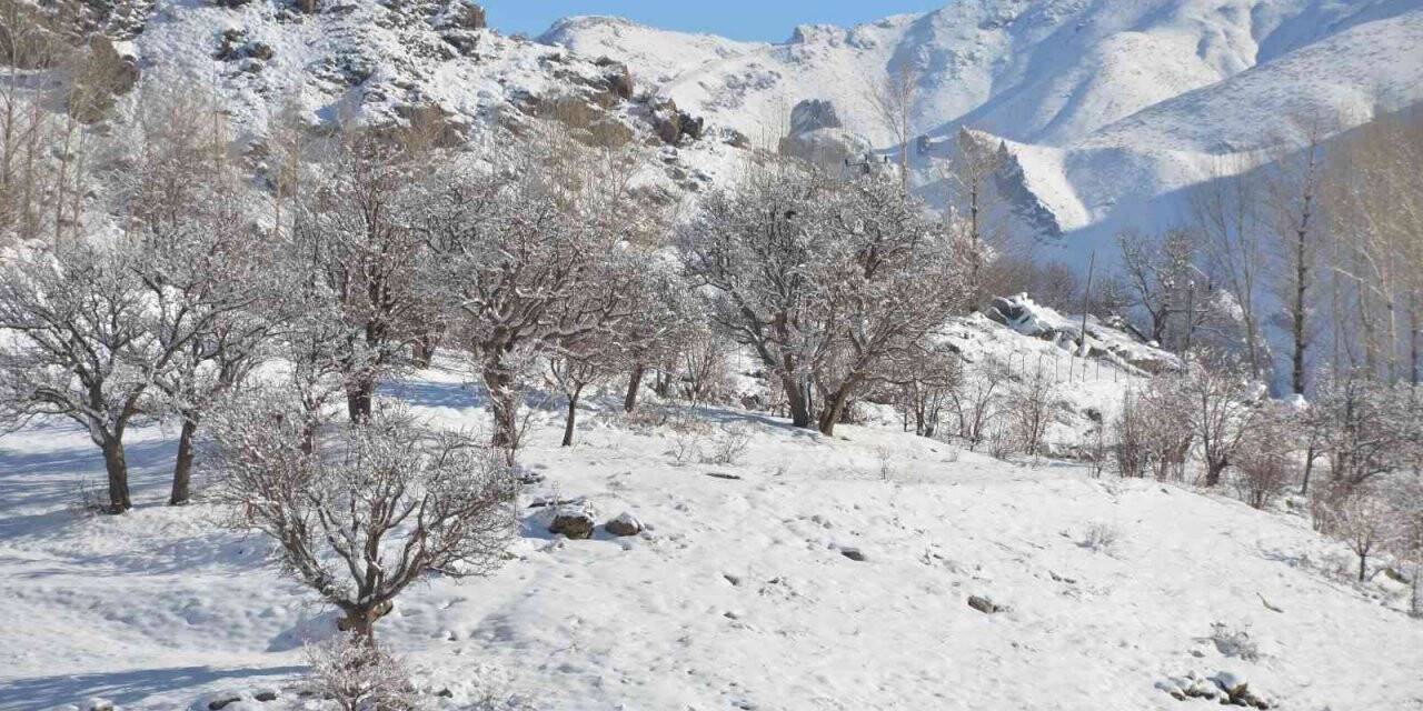 Şırnak’ta termometreler eksi 21 dereceyi gösterdi, dereler dondu