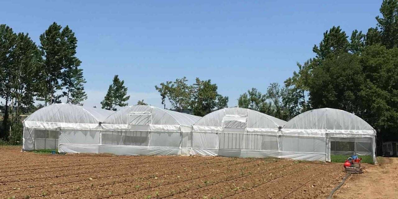 Çiftçilere yüzde 70 hibeli sera naylonu desteği