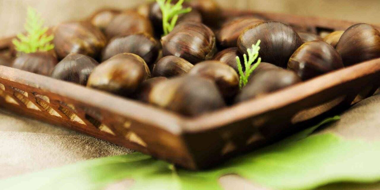 Kestane ihracatında çifte mutluluk