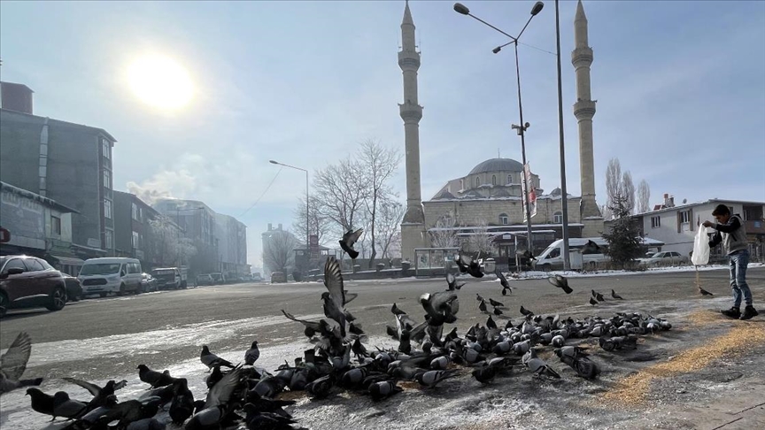 Doğu Anadolu'da soğuk hava ve sis hayatı olumsuz etkiliyor