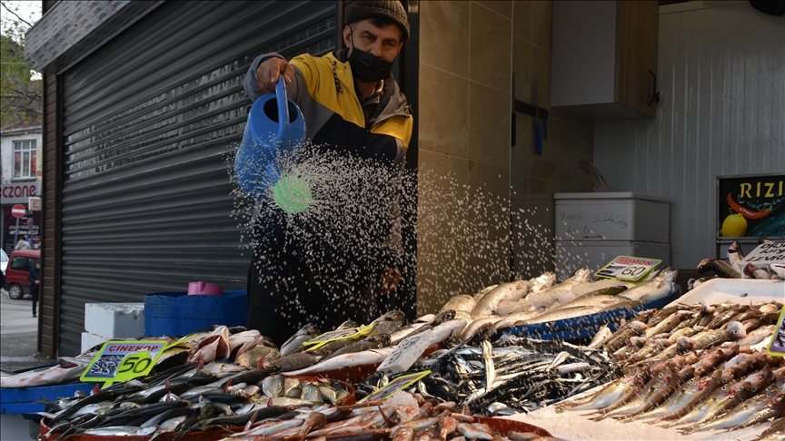 Balıkçıların tezgahlarını mezgit ve istavrit süslüyor
