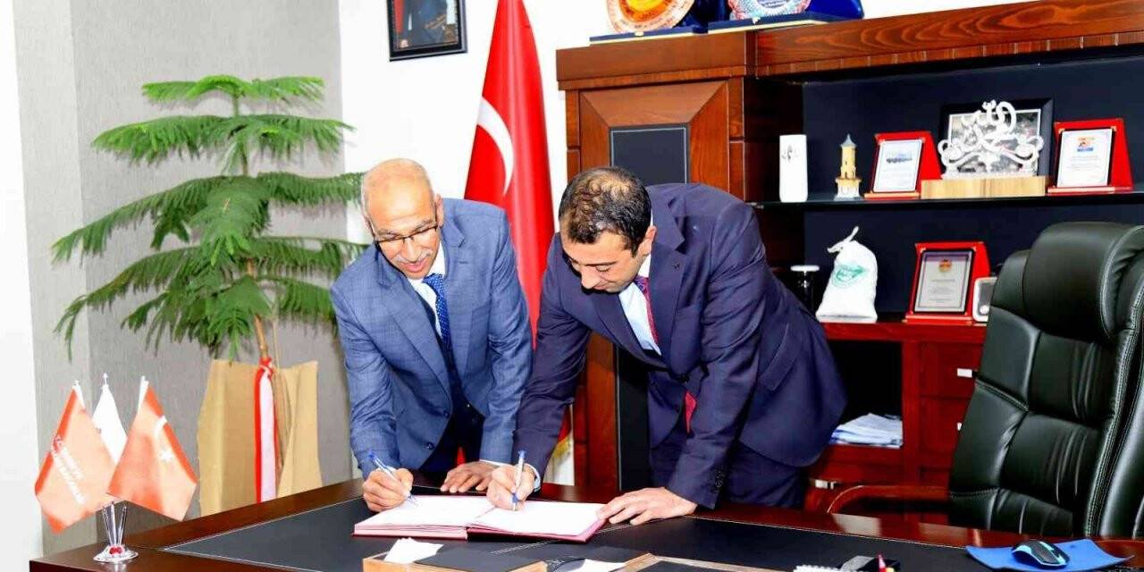 Bingöl’de kedi, köpek ve gelinciklerin takibi yapılacak