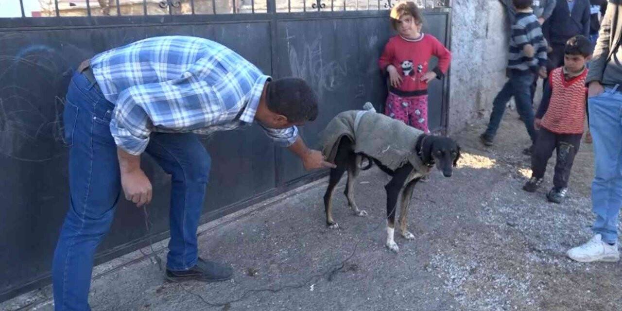Köpek yumurtaları yedi, tüfek, taş ve sopalar konuştu: 3 yaralı