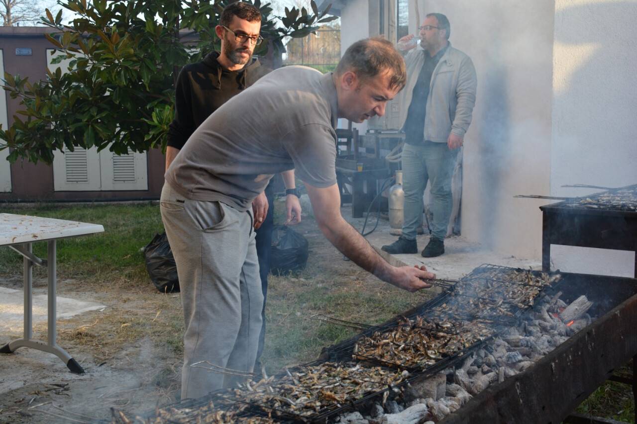 Şenlikte üniversite öğrencilerine 700 kilo hamsi ikram edildi