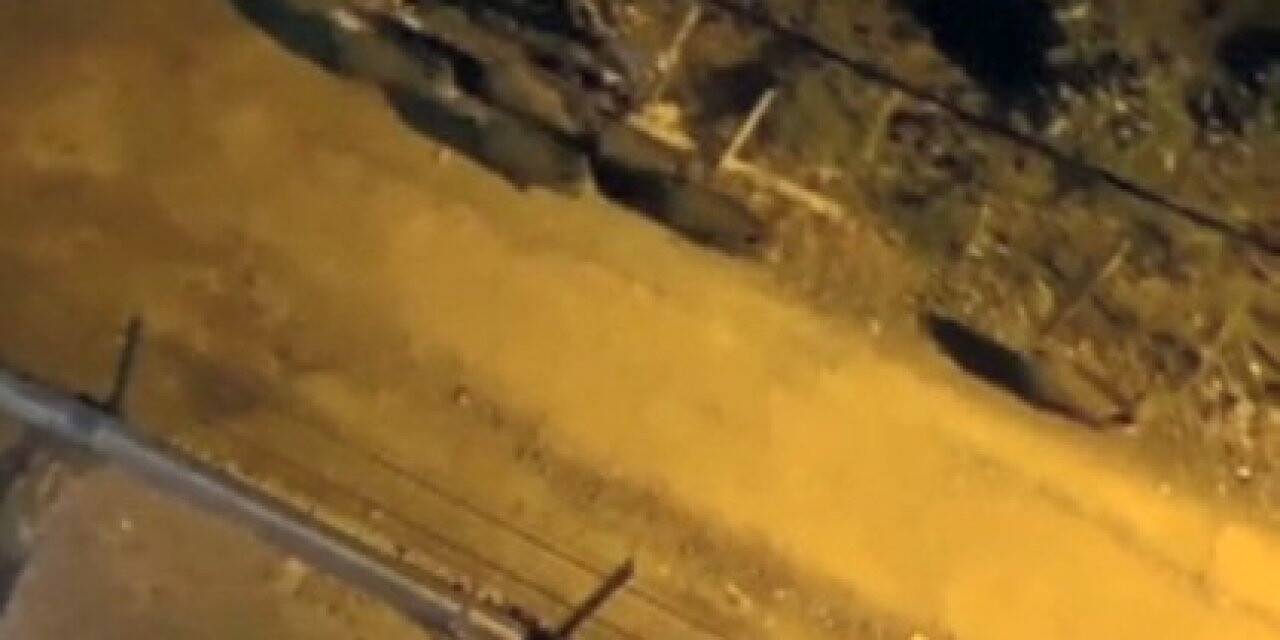 Giresun’da aç kalan domuz sürüsü ilçe merkezine indi