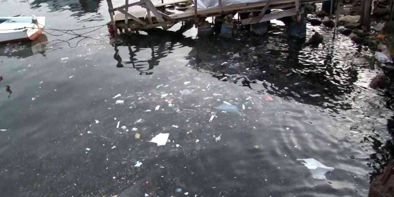 Sarıyer Sahili’ne balık tutmak için gelen vatandaşlar şoke oldu