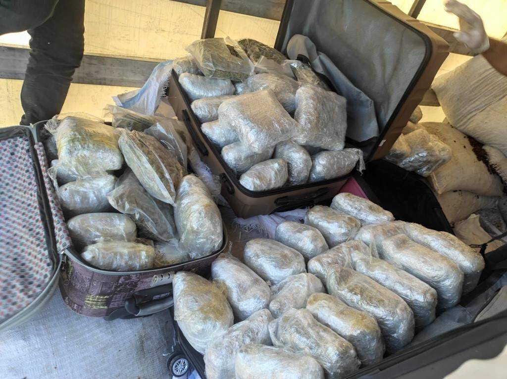65 kilo esrar çıkan tırdaki iki şüpheli serbest bırakıldı