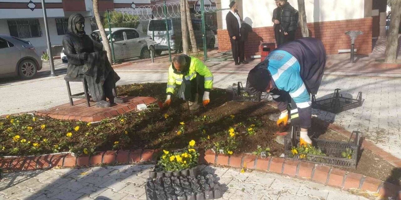 Pursaklar rengârenk kış çiçekleri ile güzelleşiyor
