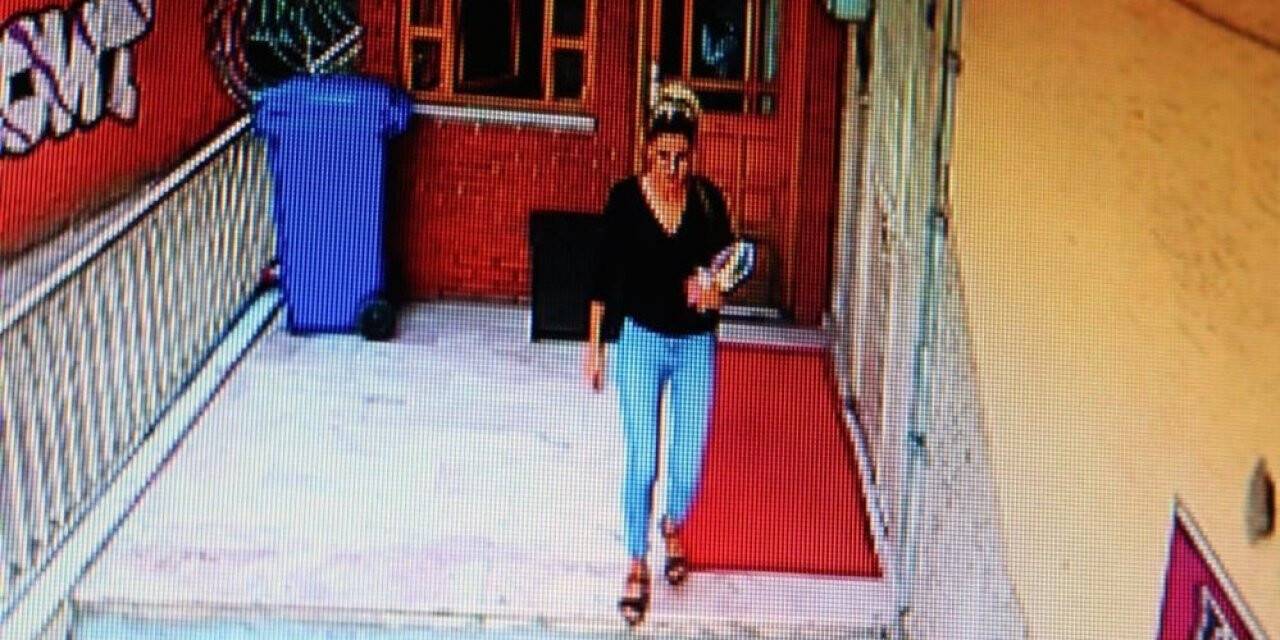 Melek Aslan cinayetinde kardeş ve azmettirici eski sevgiliye müebbet hapis