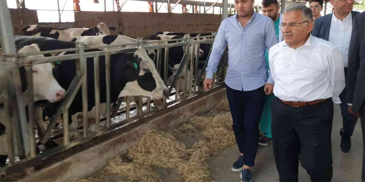 Büyükşehir’in dev projesinde 4’üncü etap talep toplama başlıyor